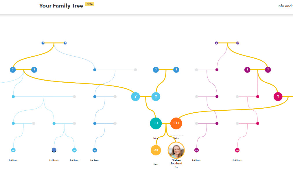 23andMe tree reconstruction beta.jpg