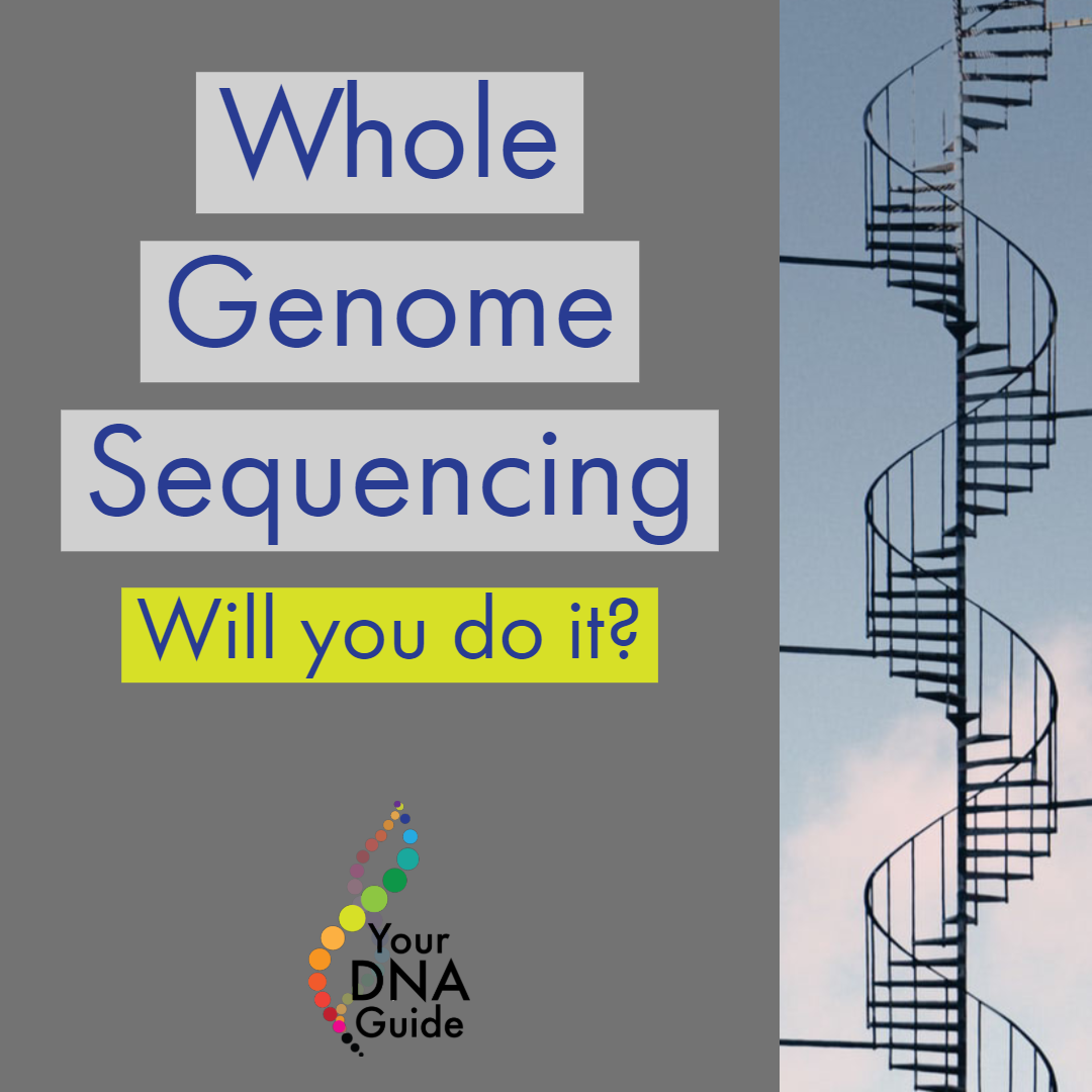 your dna guide