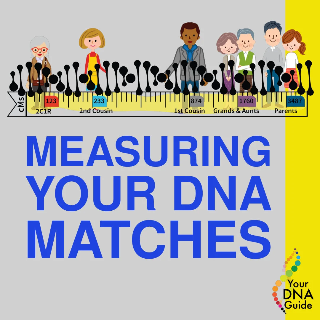 Measuring DNA matches shared centimorgans.jpg