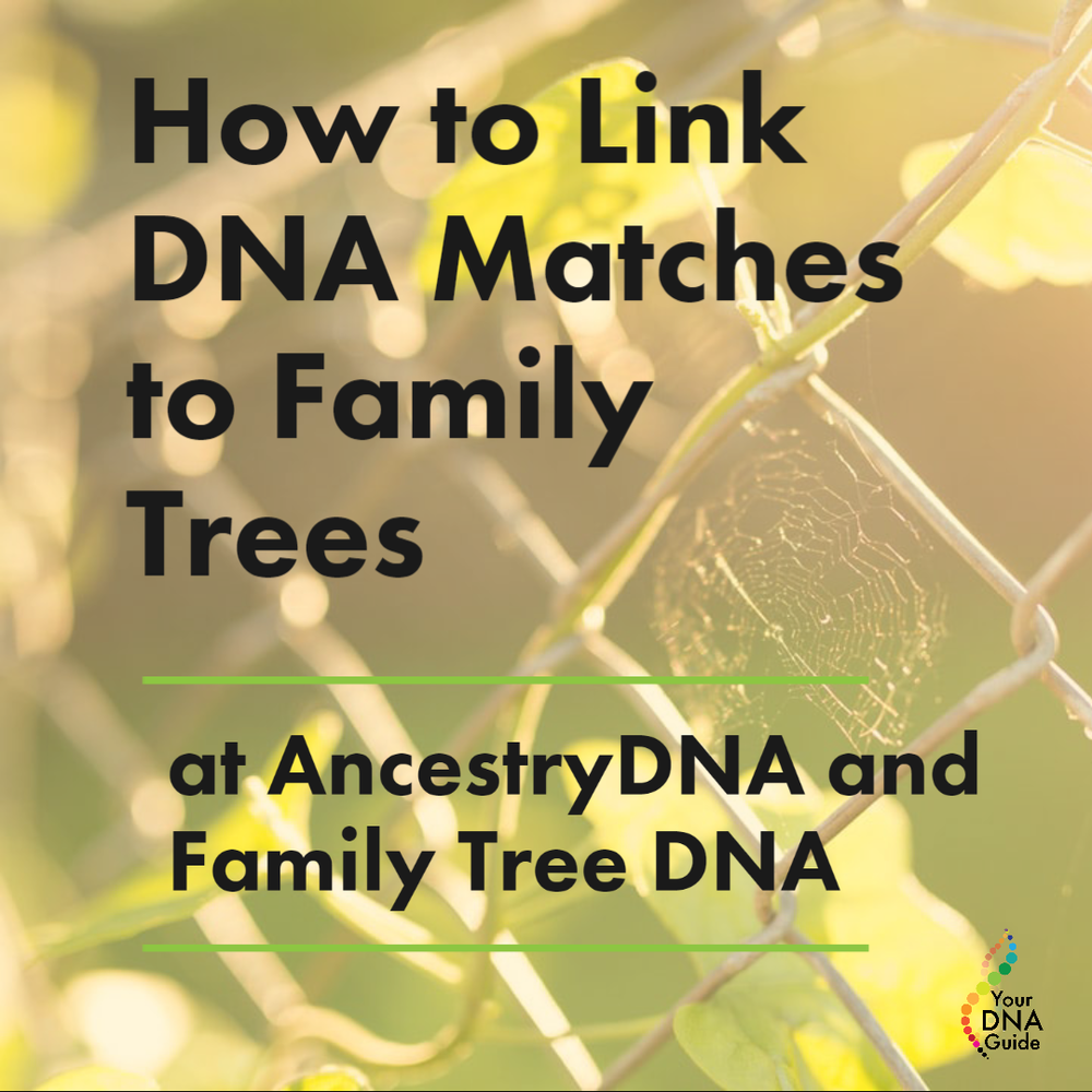 your dna guide