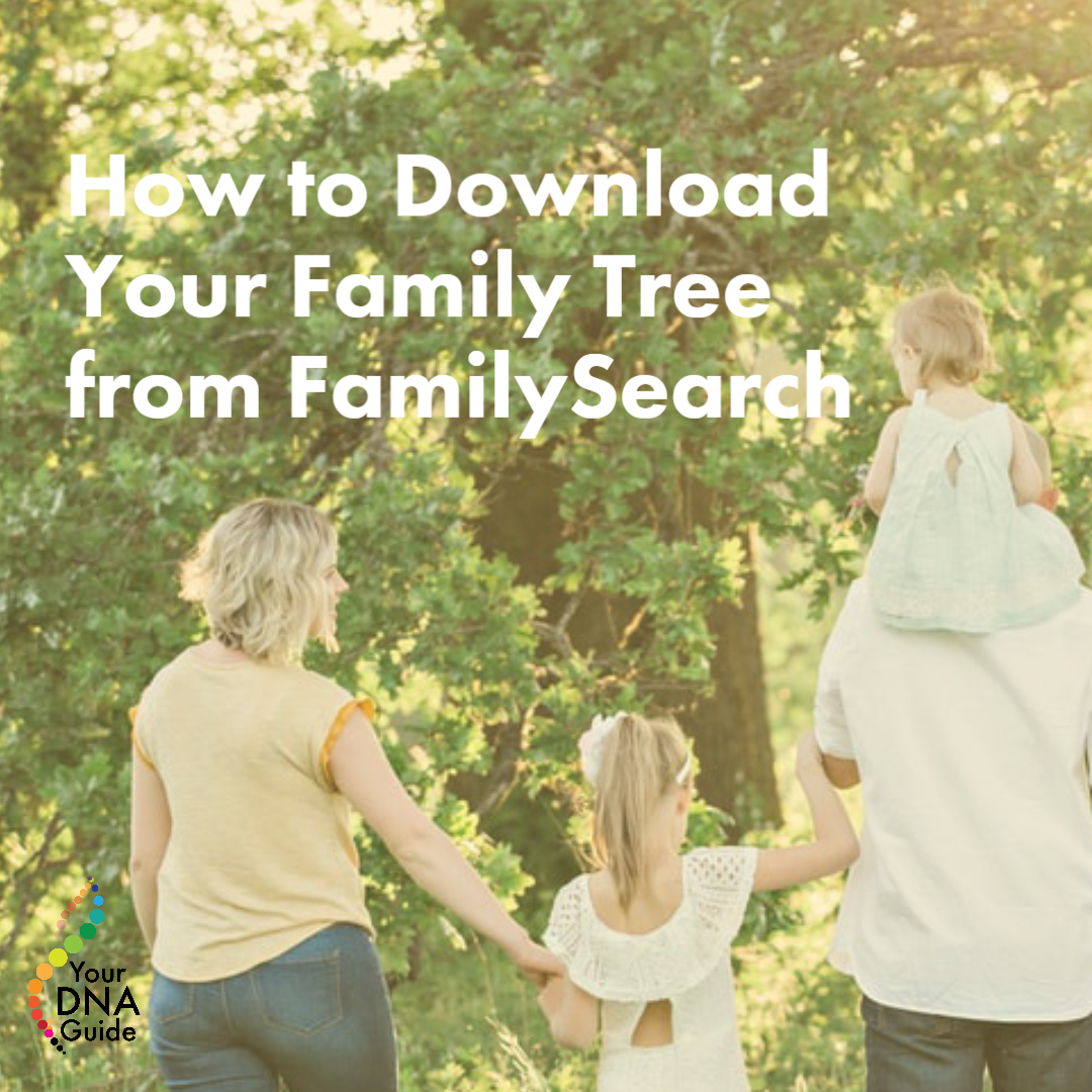 How to Download Your Family Tree from FamilySearch DNA Test 11.png