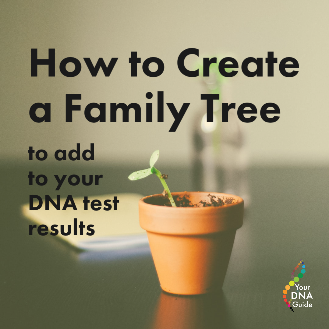 How to Create a Family Tree