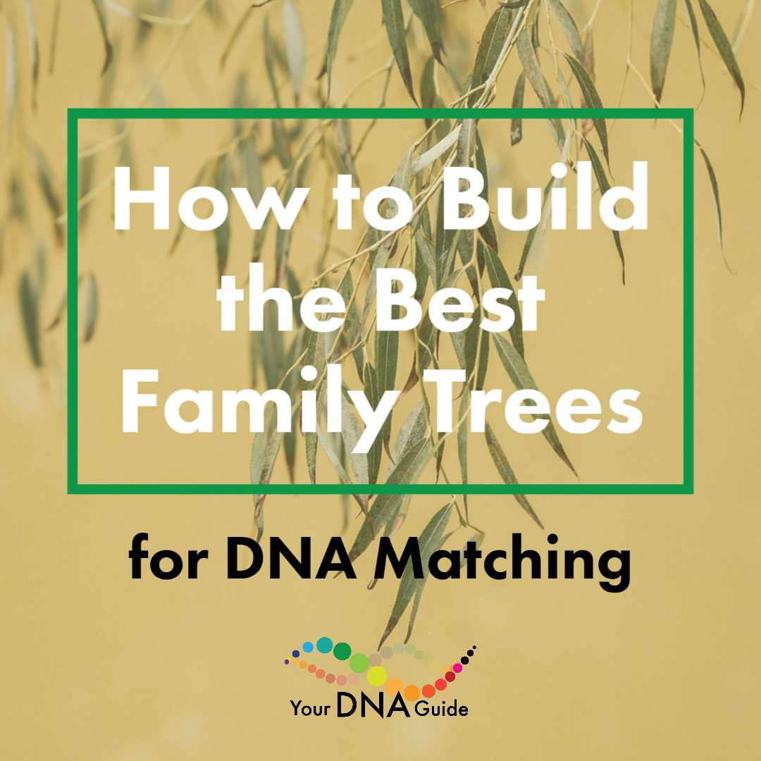 How to Build the Best Family Trees for DNA Matching