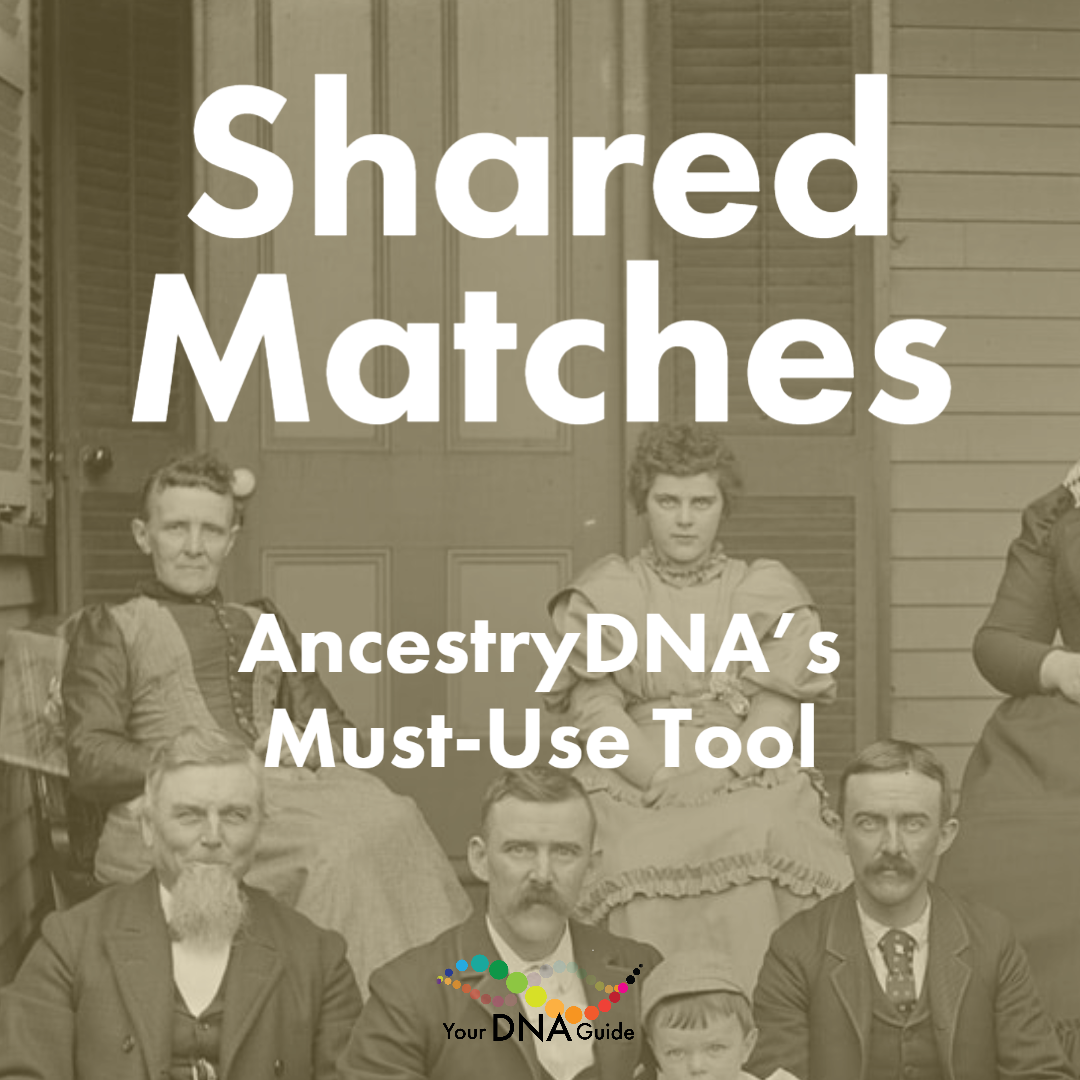 Shared Matches AncestryDNA 11.png