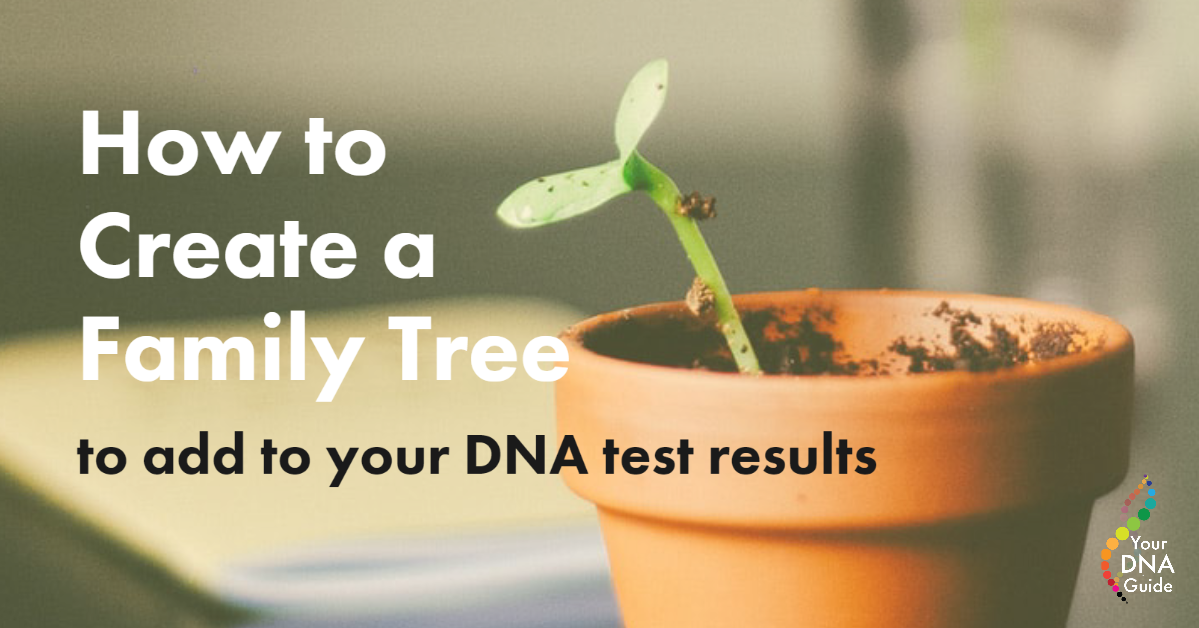 How to Create a Family Tree for DNA Matches Results.png