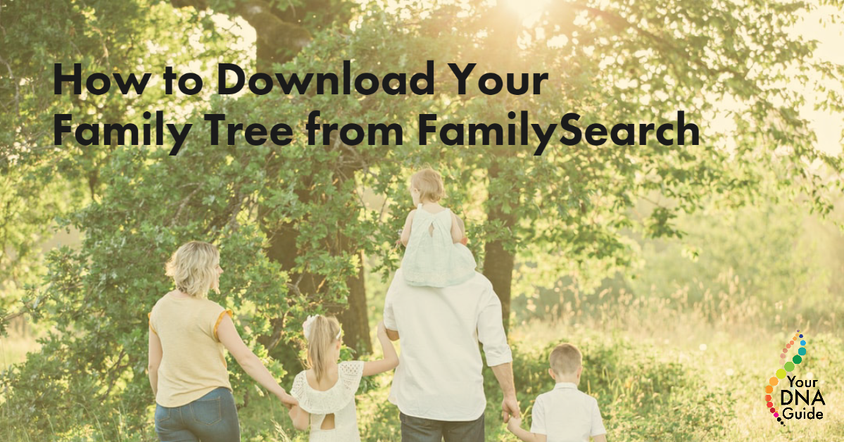 Download family tree from FamilySearch.png