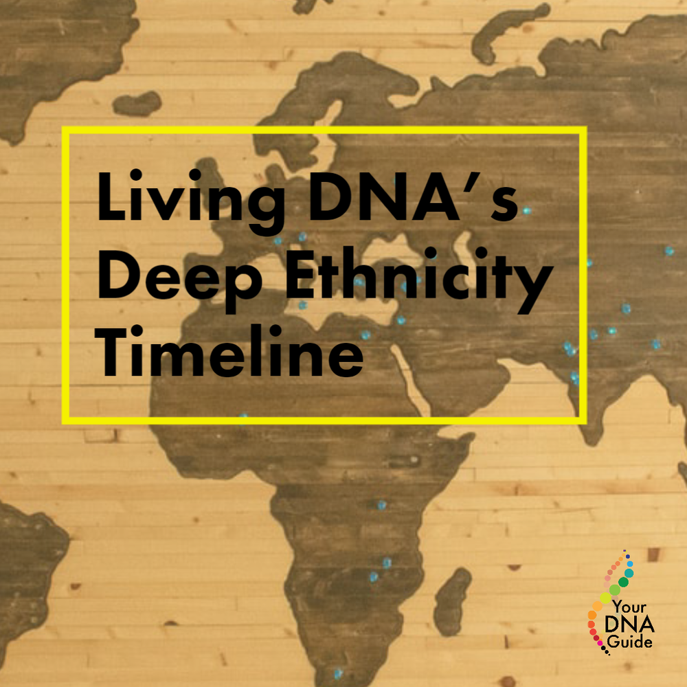 your dna guide