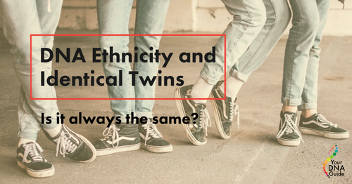 dna ethnicity results for identical