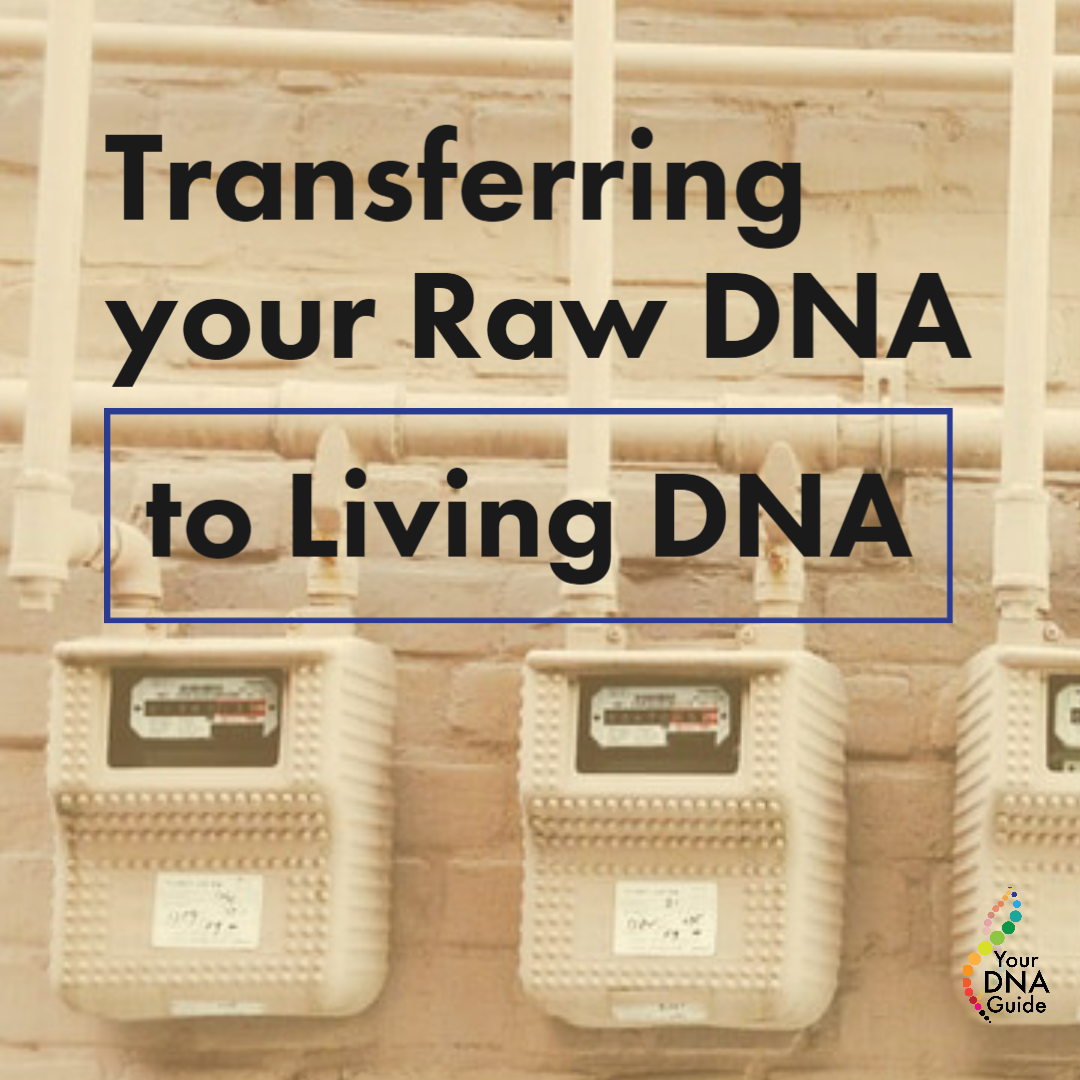 your dna guide