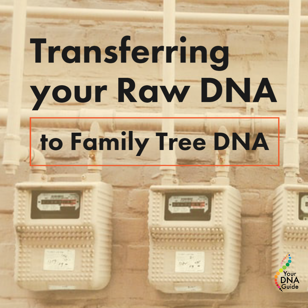 your dna guide