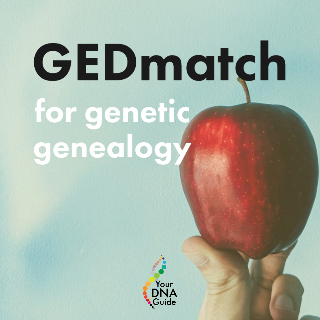 your dna guide