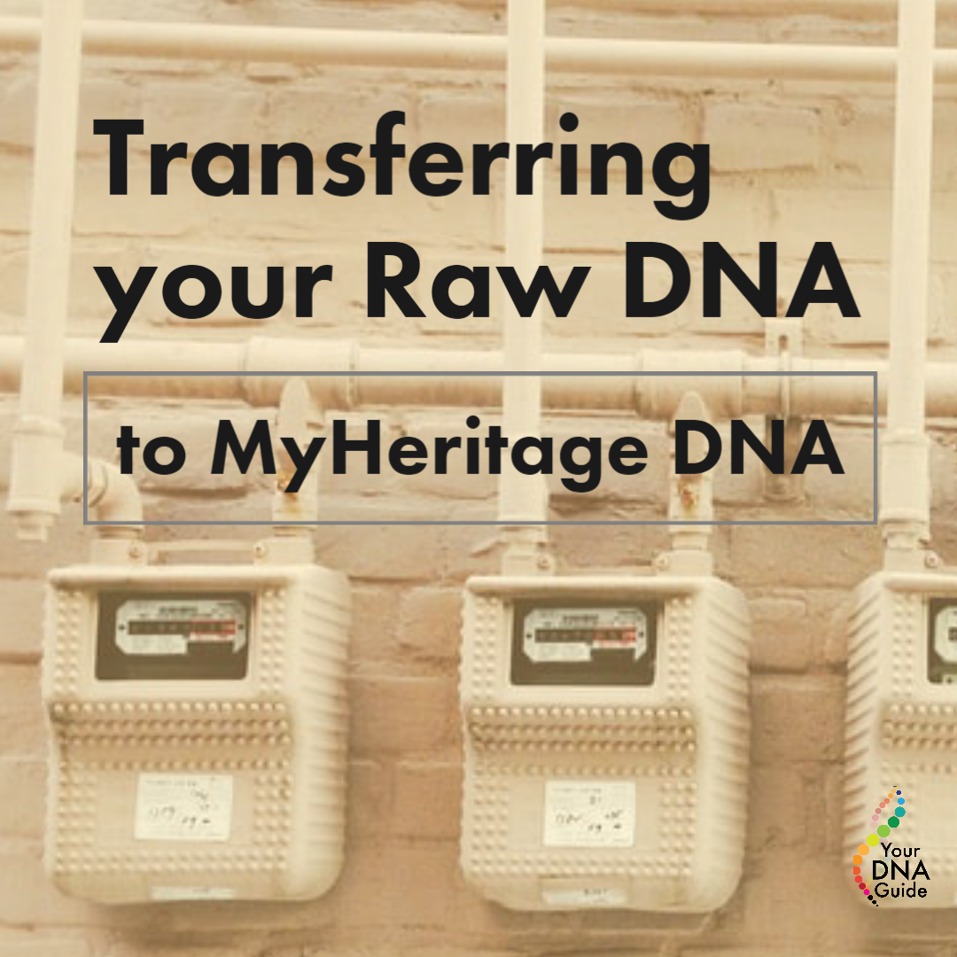 your dna guide