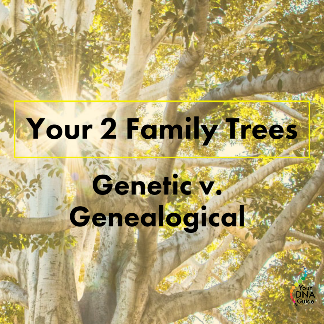 your dna guide