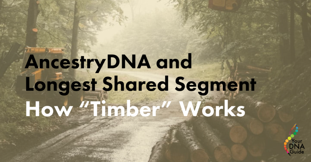 AncestryDNA longest shared segment Timber algorithm .png