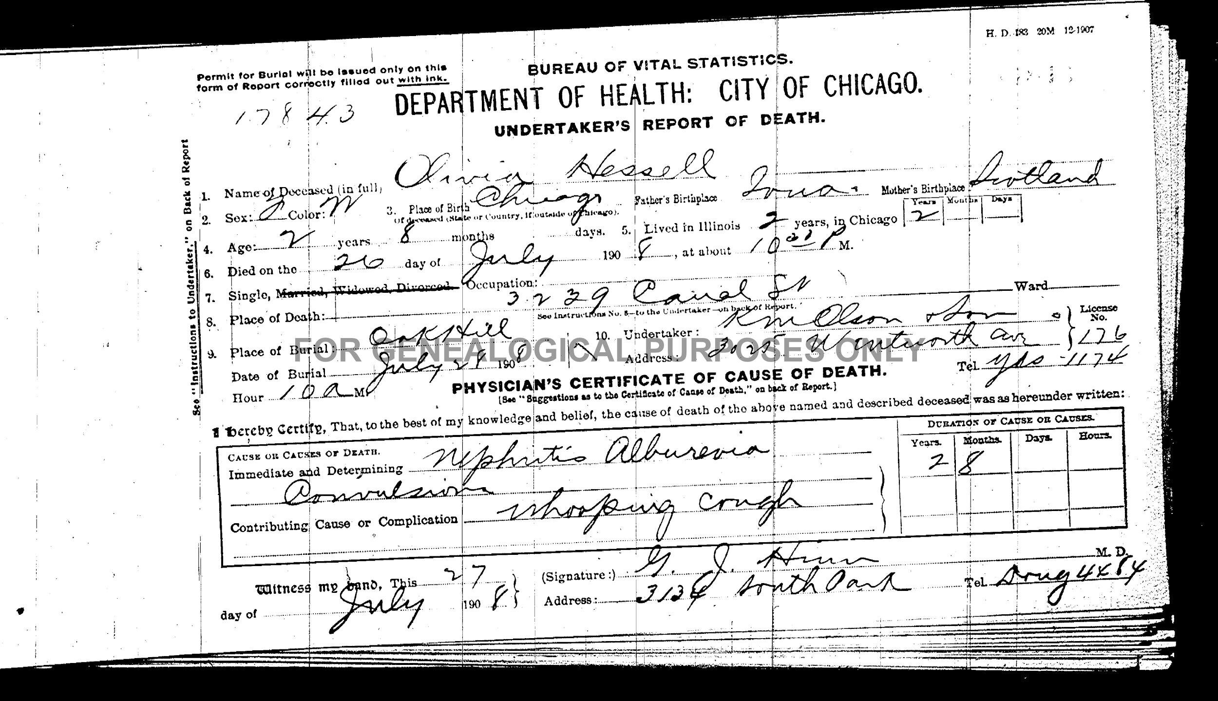 Death certificate for Olivia Helen Hessell listing an address of 3239 S. Canal St. Chicago and mother's place of birth as Scotland.