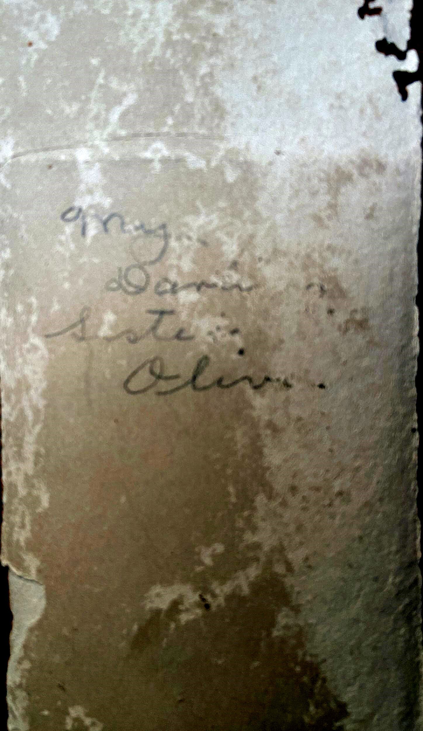 Back of an early 1900's photograph, which reads "My Darling Sister, Olivia."