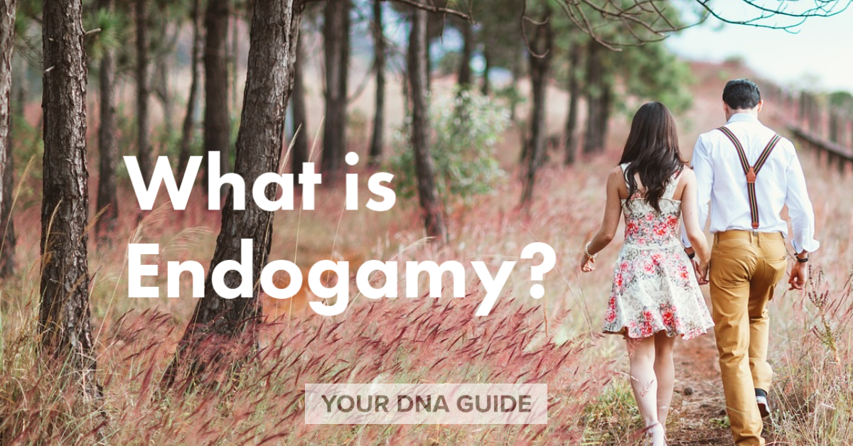 What is endogamy DNA family history Jewish.png