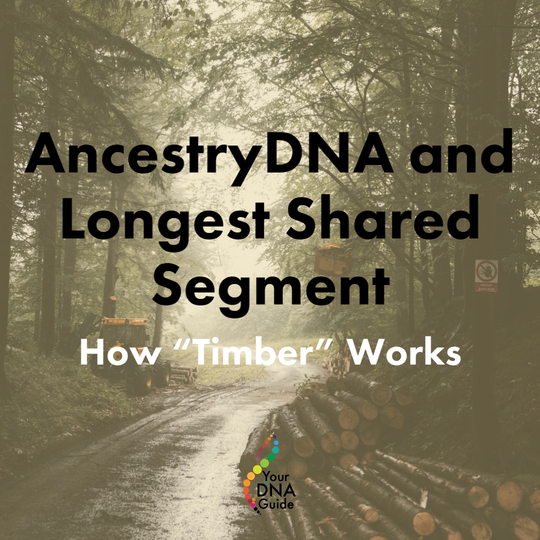 AncestryDNA longest shared segment Timber algorithm 11.png
