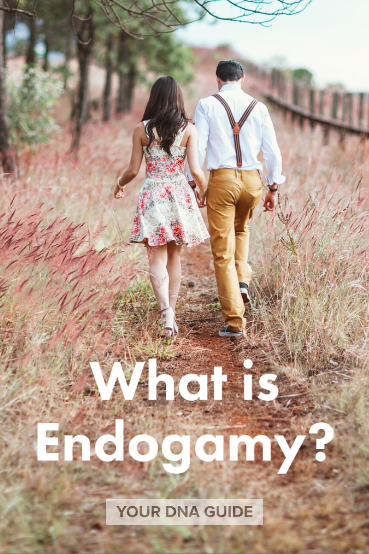 What is endogamy DNA family history Jewish P.png