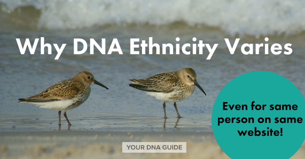 Why DNA Ethnicity Varies Same Person Estimates.png