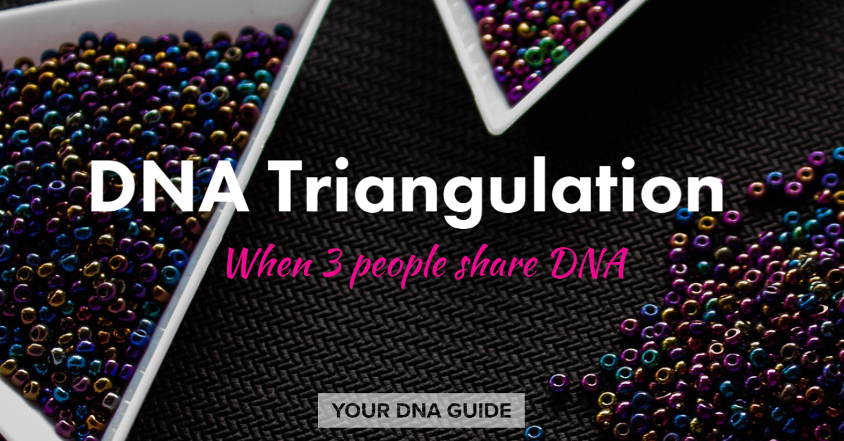 DNA triangulation testing family history genealogy.png