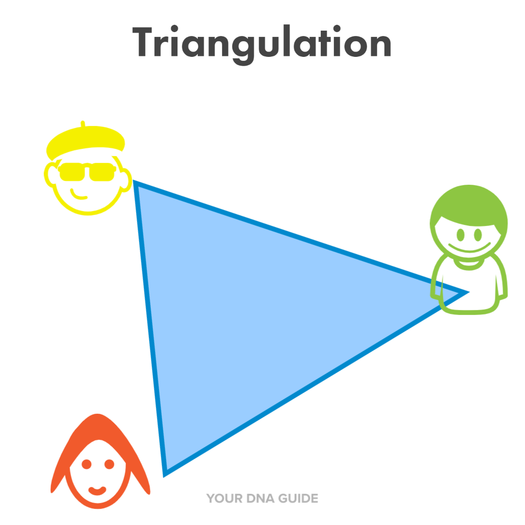 Triangulation DNA diagram (1).png