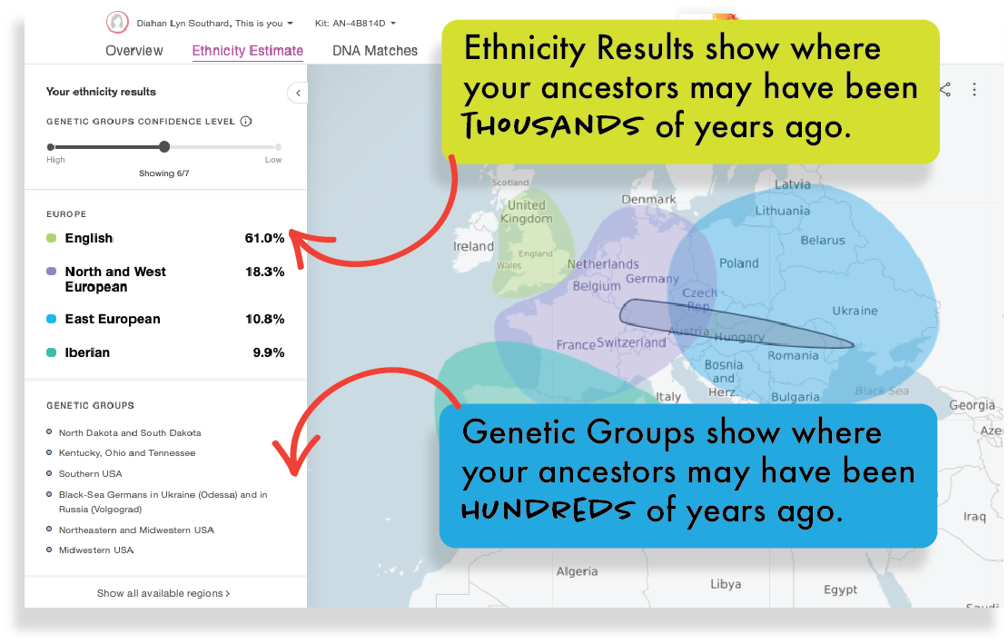 your dna guide