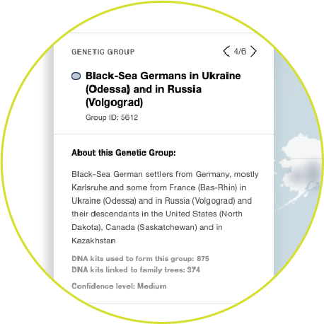 myheritage genetic groups dna