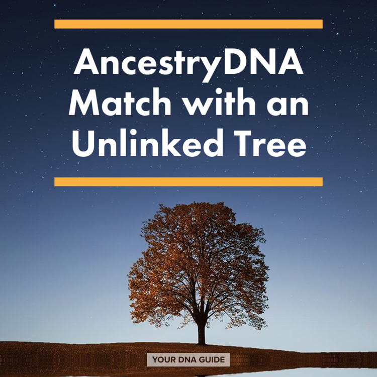 your dna guide