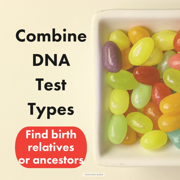 your dna guide