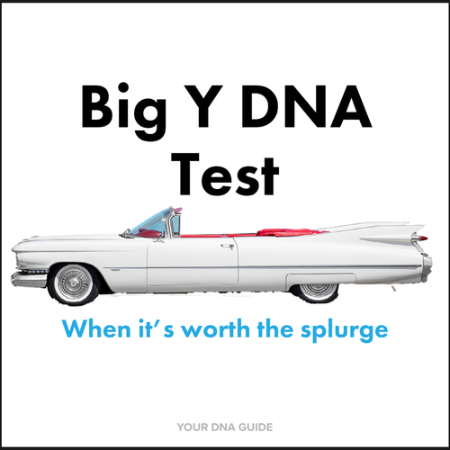 your dna guide