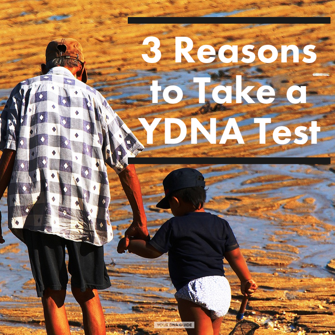 3 Reasons Take a YDNA Test 11.png