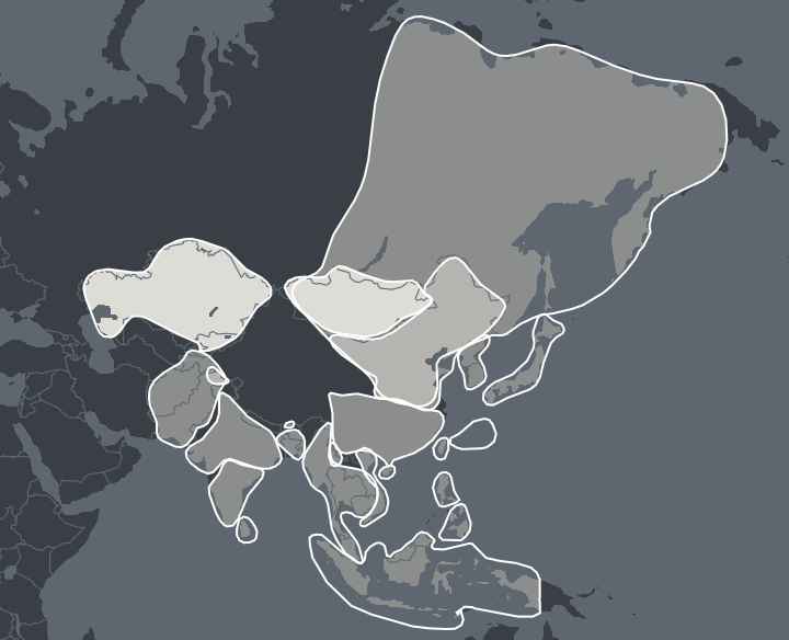 dna testing for asian ancestry your