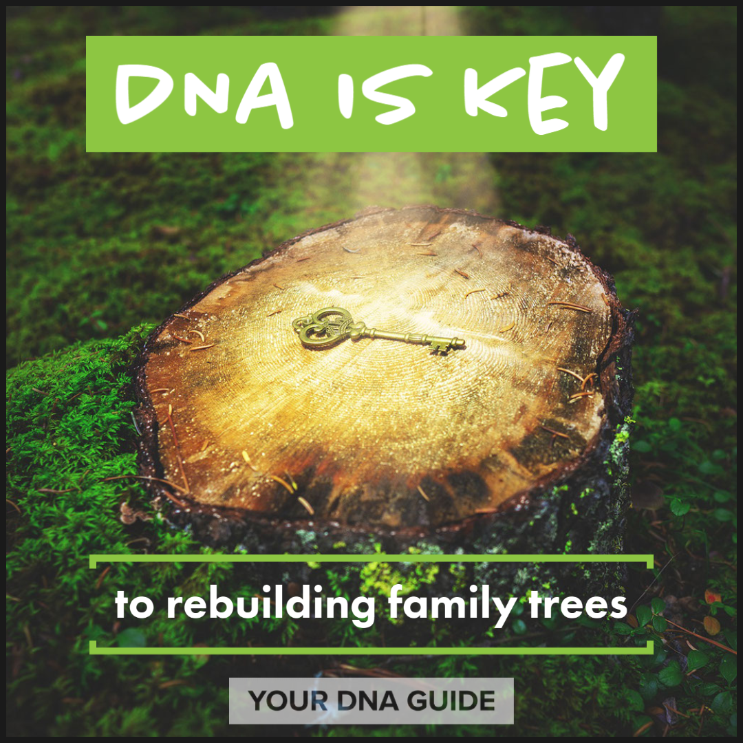 DNA Key to Rebuilding Family Trees Your DNA Discoveries Await.png