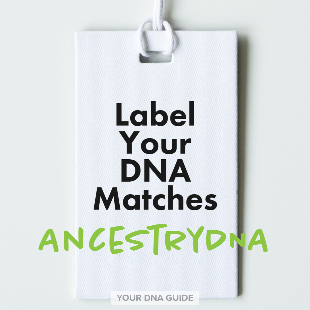 AncestryDNA label matches dot system 11.png