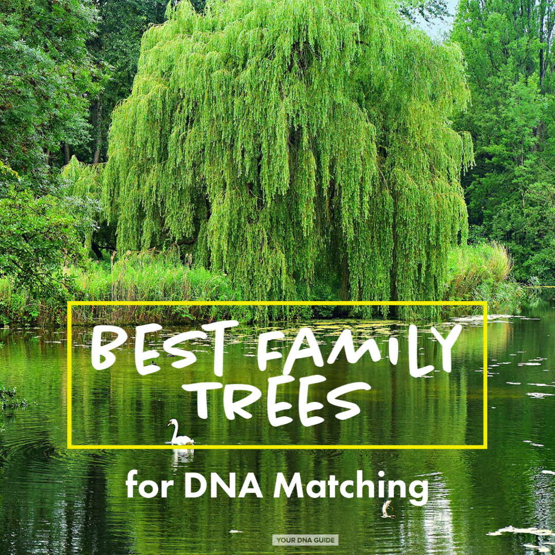 Best Family Tree for DNA Matches Matching 11 (1).png