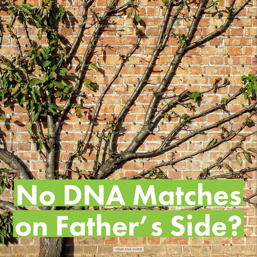 your dna guide