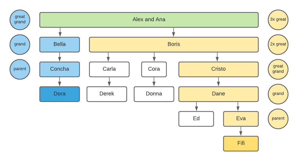 Generation of connection Sunny (4).png