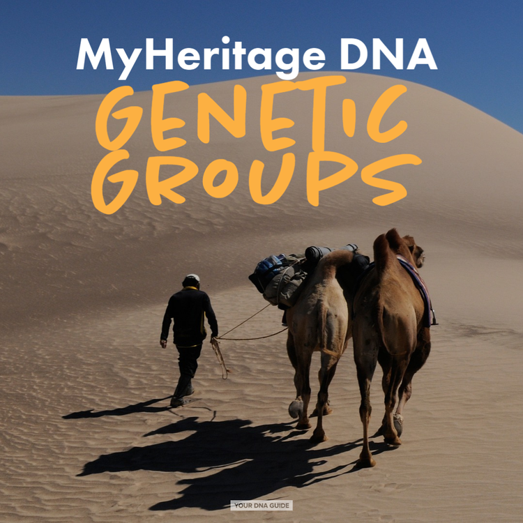 your dna guide