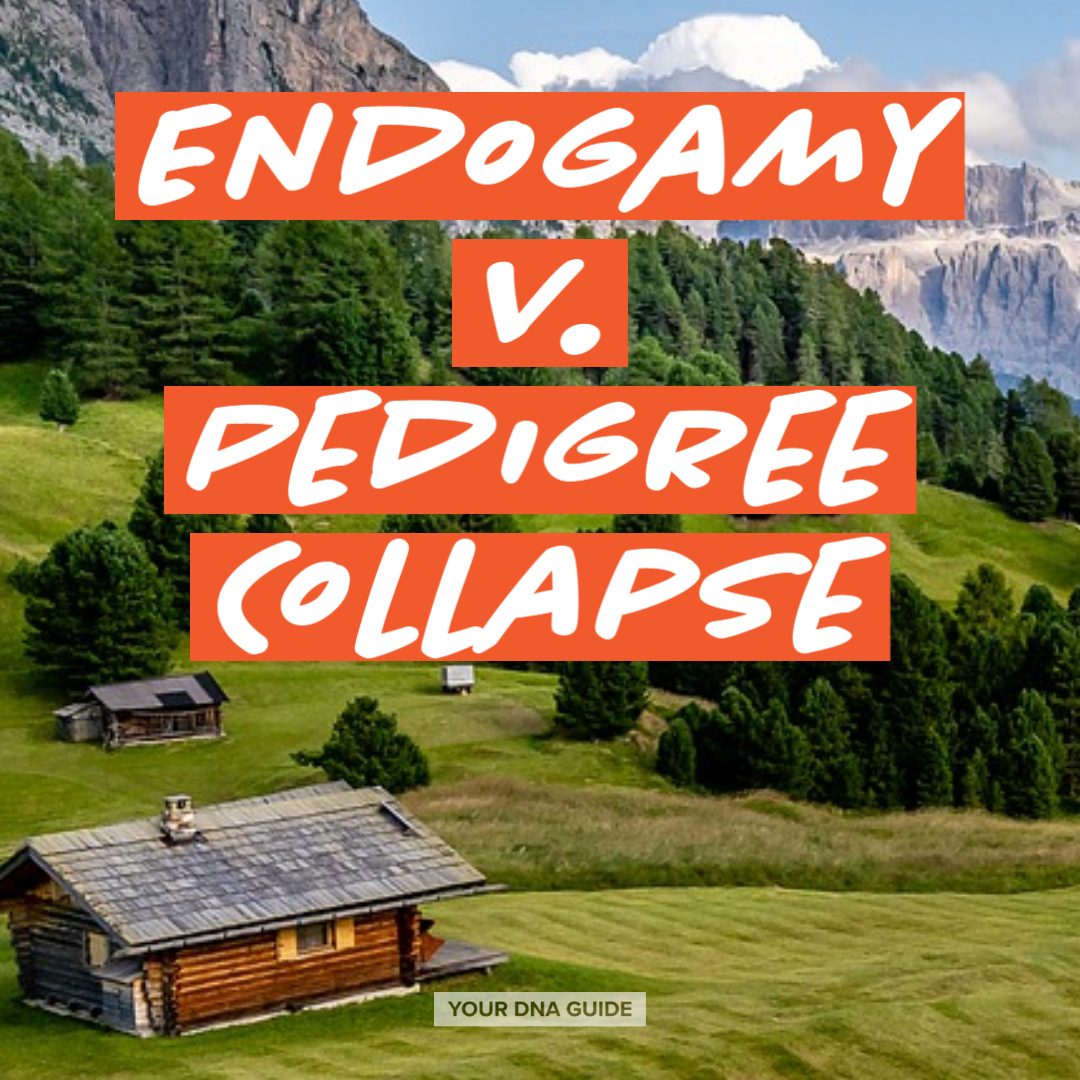 What if you’re actually seeing endogamy, not just a couple instances of pedigree collapse?
