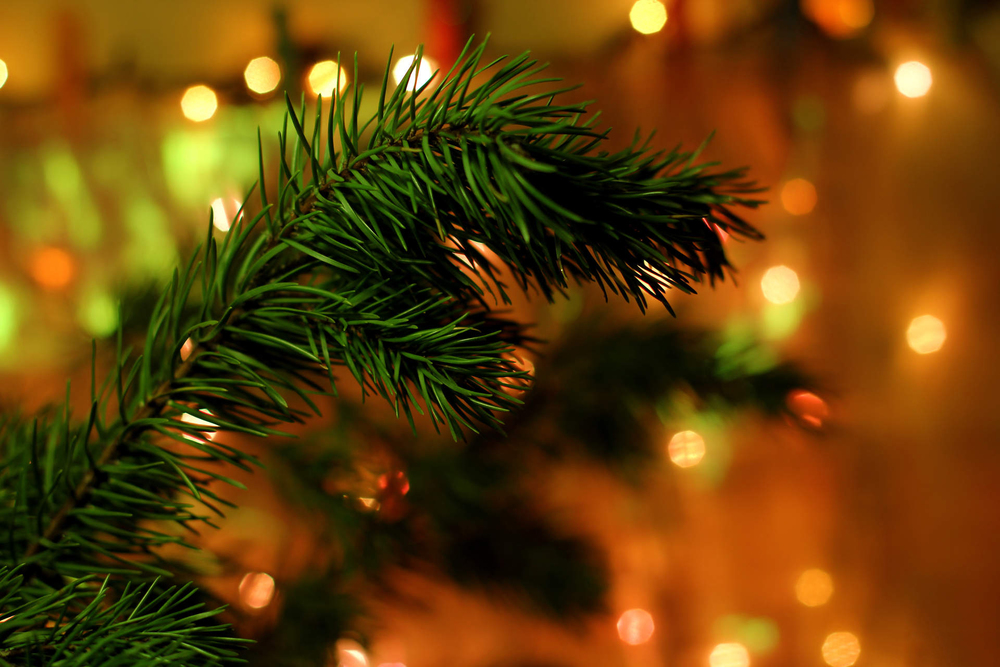 Advent Prayer Calendar — Summit Church