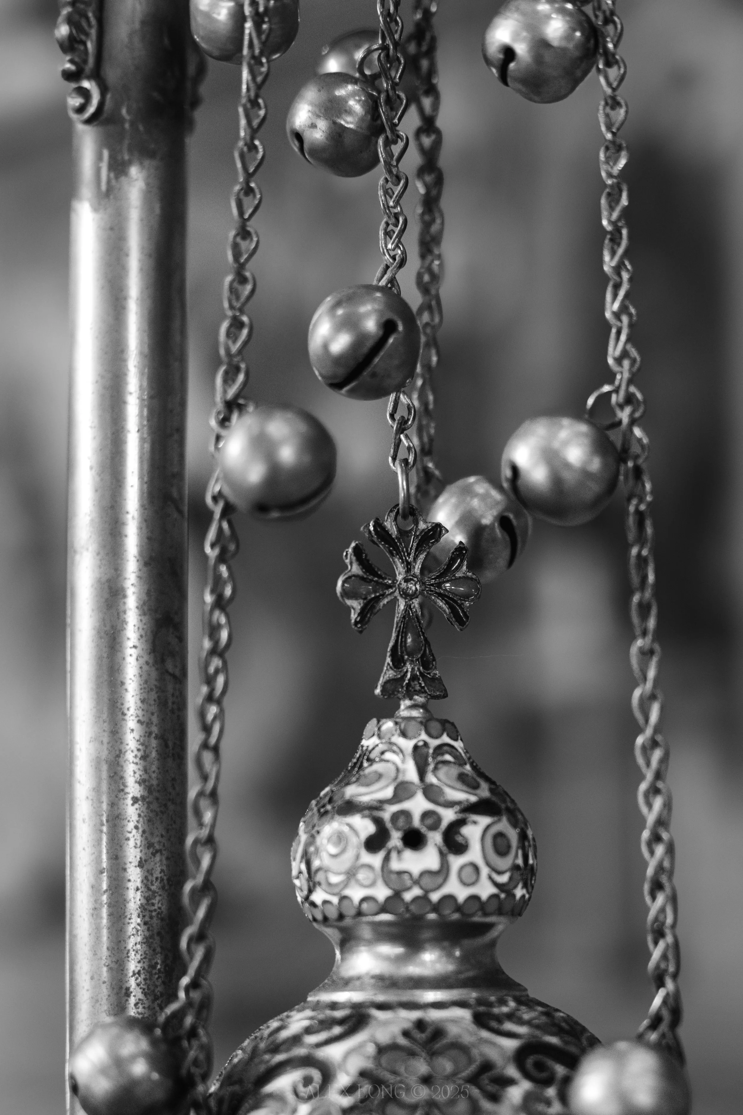 ALP07045 EDIT B&W.jpg