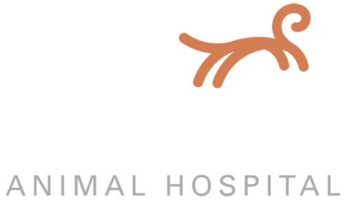 Edgewood Animal Hospital