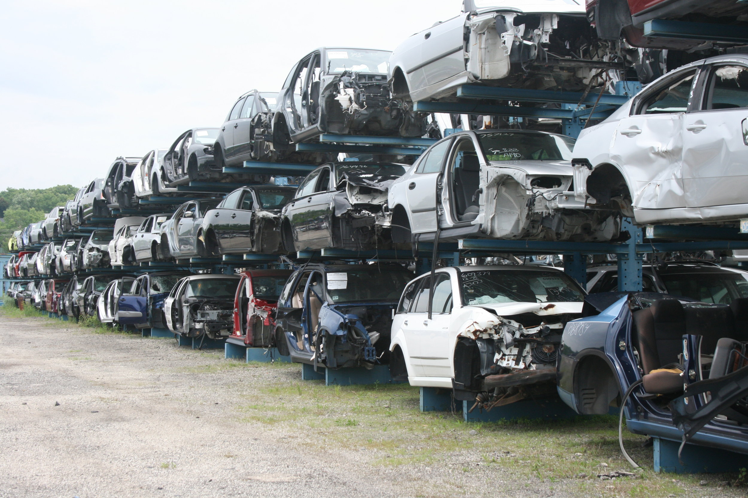 IL Green CAR Banner.JPG