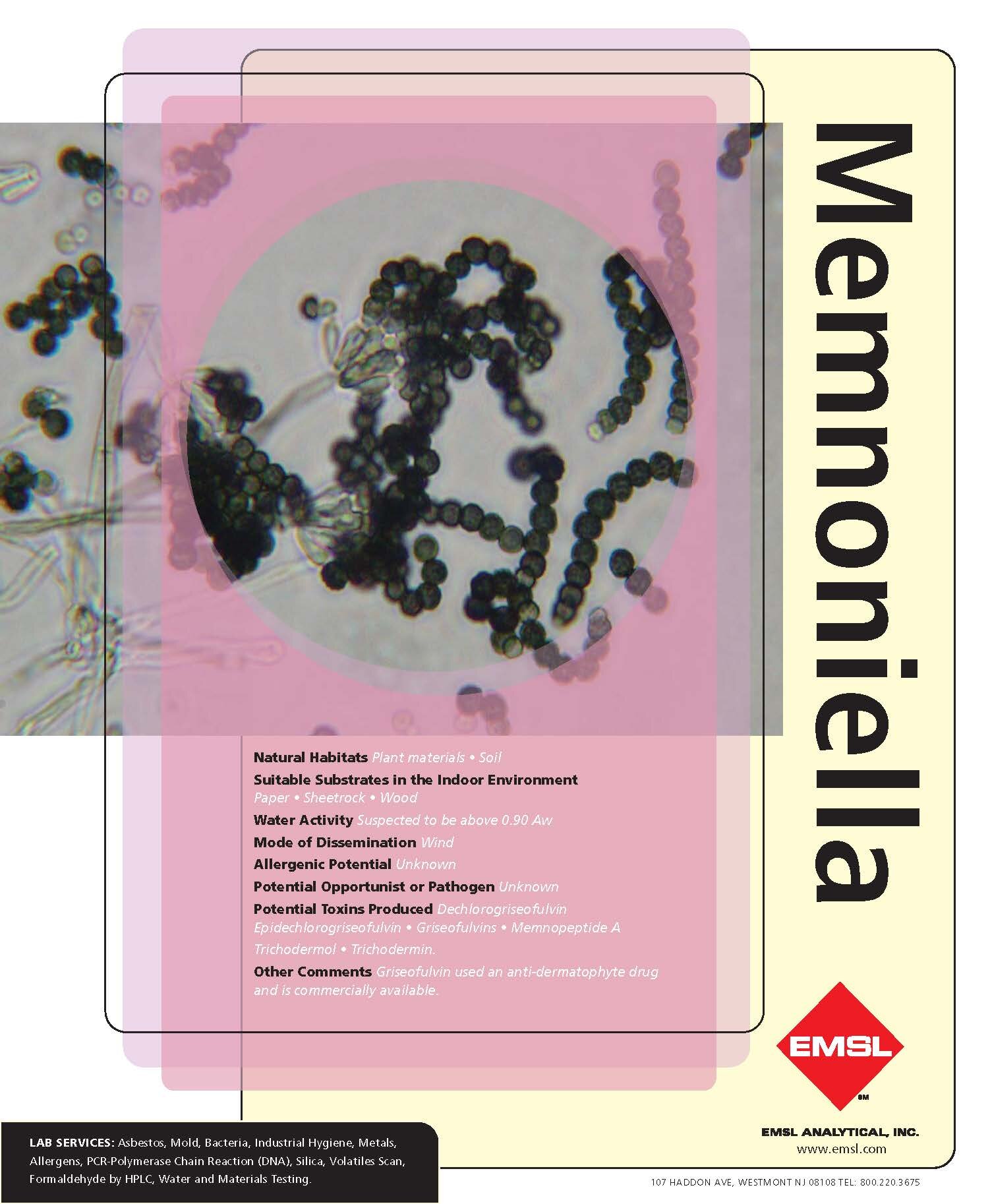 memnoniella mold