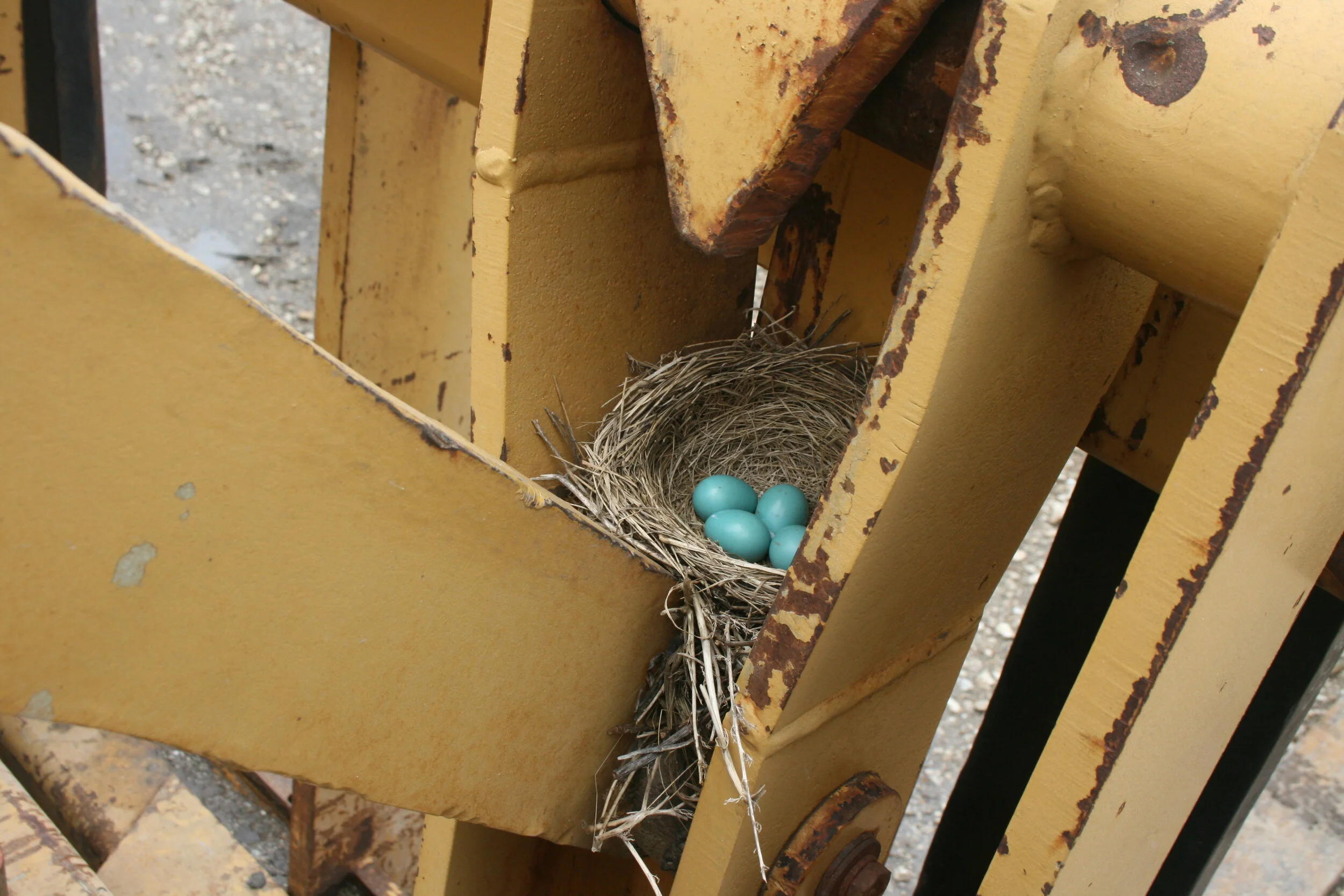 Services-Home Page.JPG