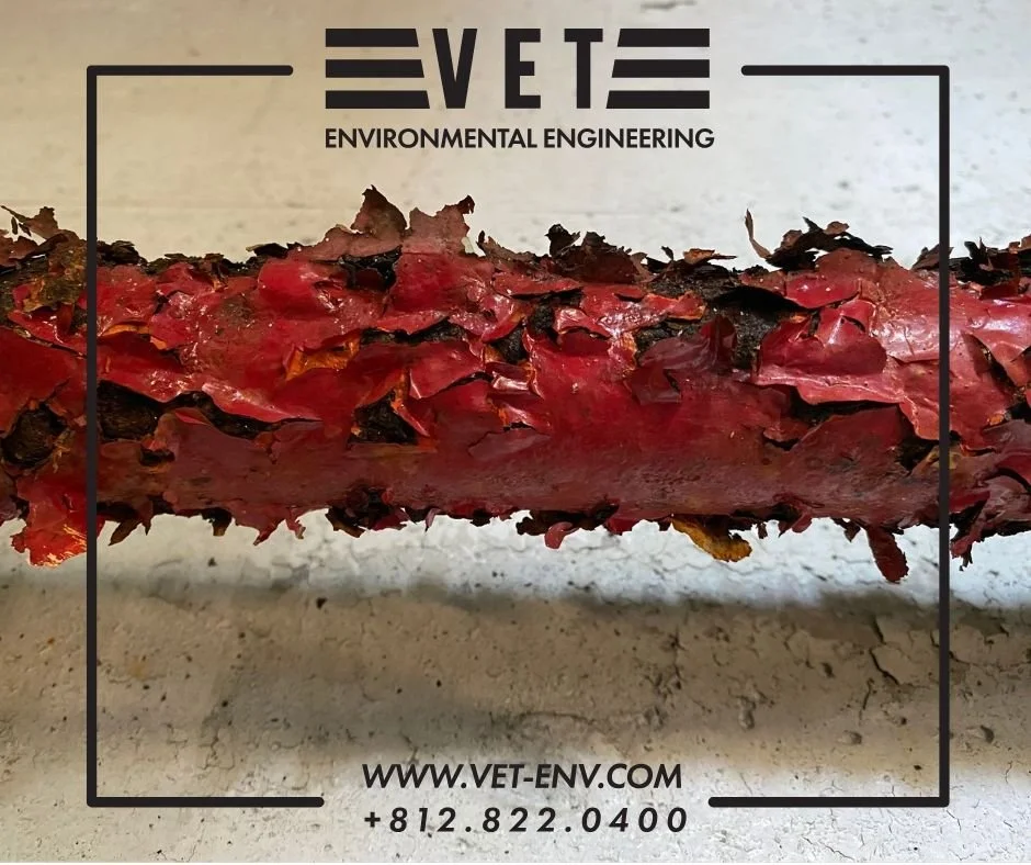 Exposure to lead has been found to impact children not only physically, but neurologically in the long-term.  When children play in soil contaminated with lead, they may accidentally ingest lead through hand-to-mouth contact or eating and drinking pr