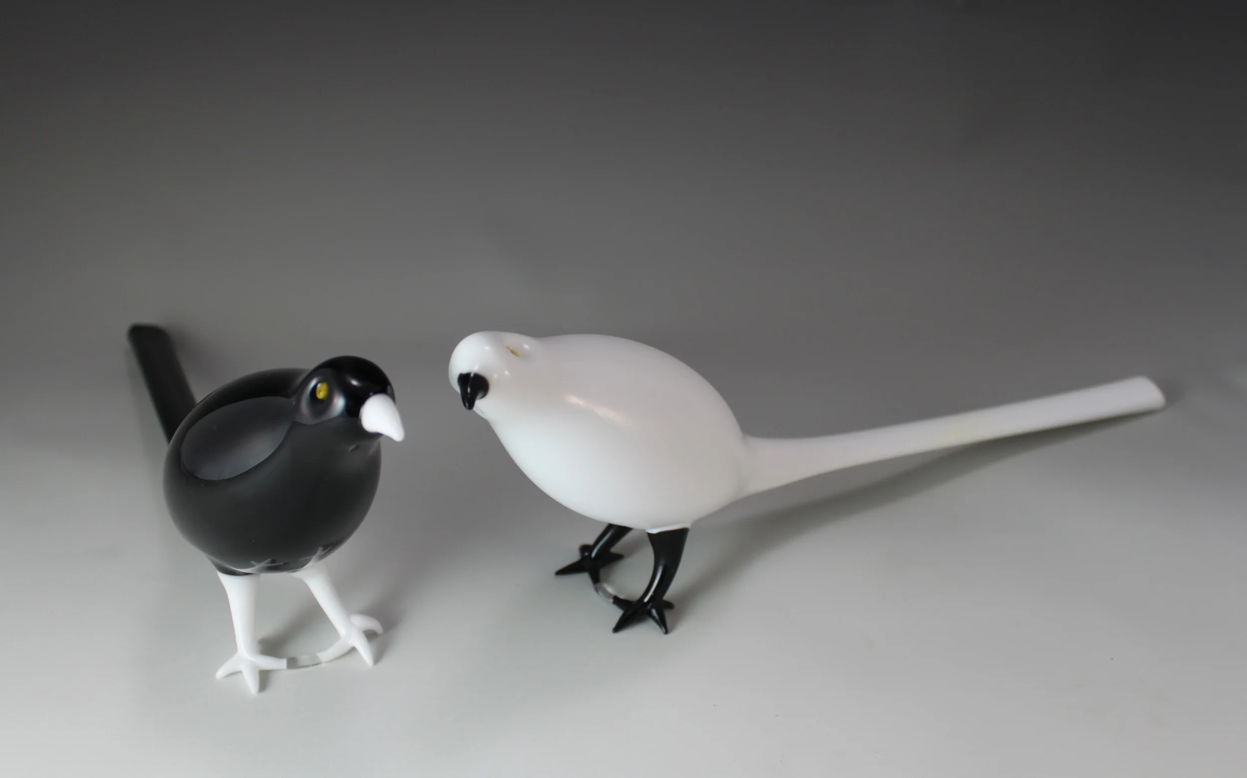 "Nothing is Black or White", 2013