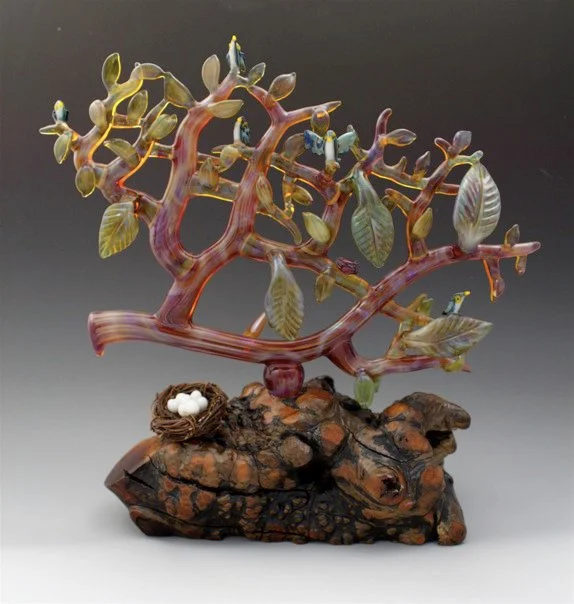 Amber Branch on Manzanita Burl, 2009