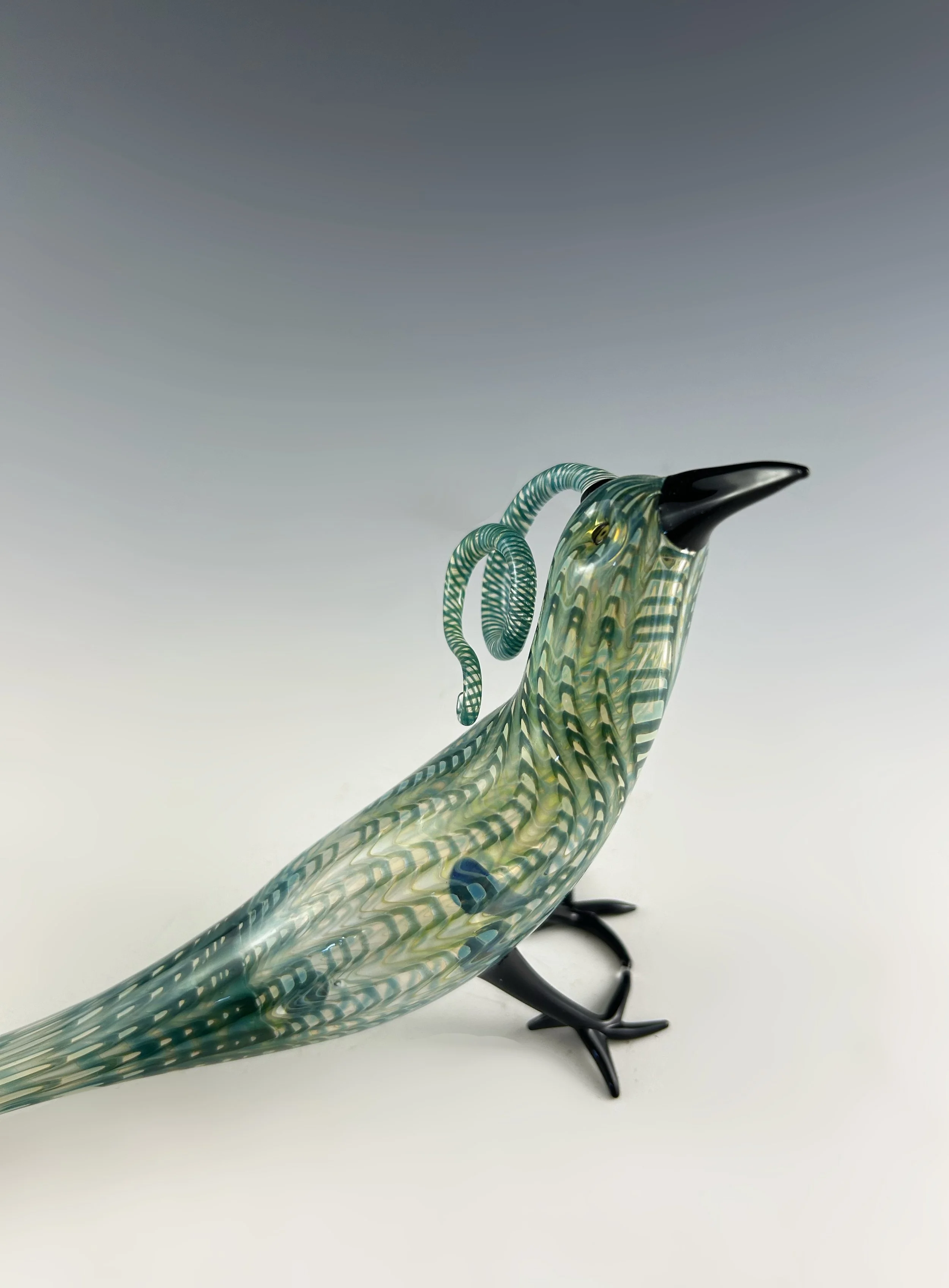 Teal Featherd Bird 2024 - 2.jpg